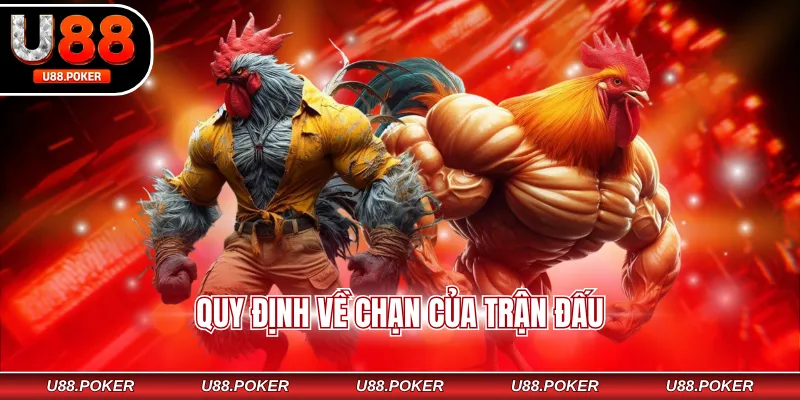 Quy định về chạn của trận đấu